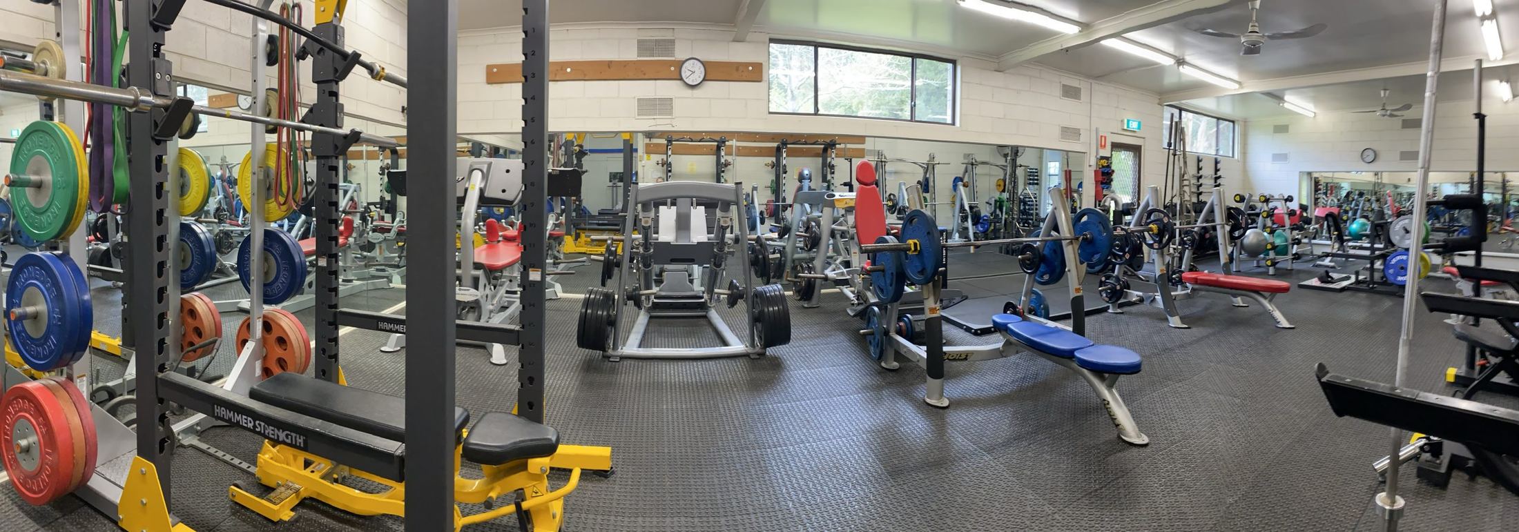 Panoramic view of the main floor at Gregory's Fitness Centre: squat racks hung with resistance bands, Hammer Strength plate-loaded machines, rows of loaded barbells and benches, and colour-coded bumper plates, with mirrored walls doubling the room.